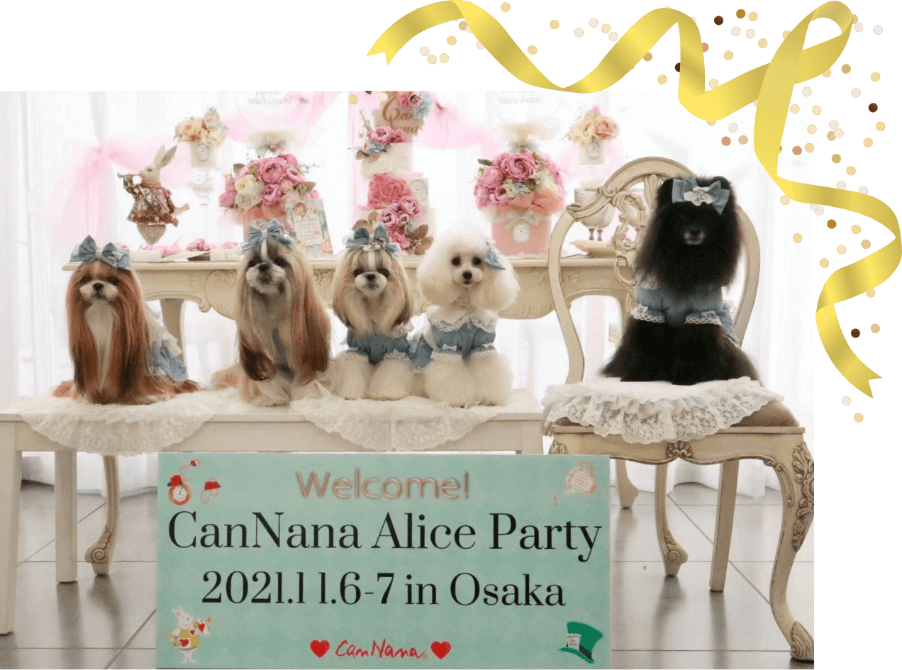 オモテナシアクセの活用アイデア